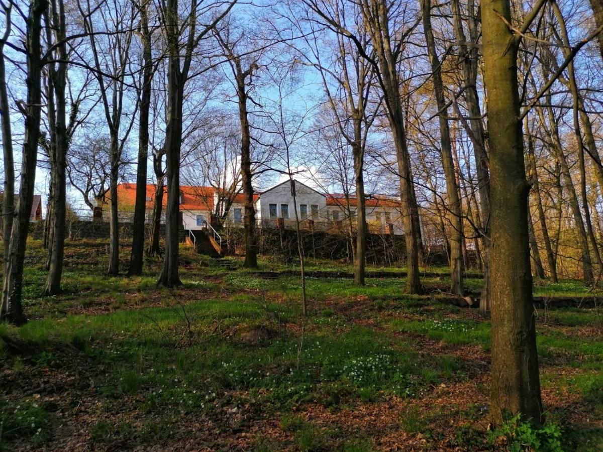 Hotel Kreuzbergbaude Beim Berzdorfer See Mit Wohlfuehl Sauna Markersdorf Exterior foto